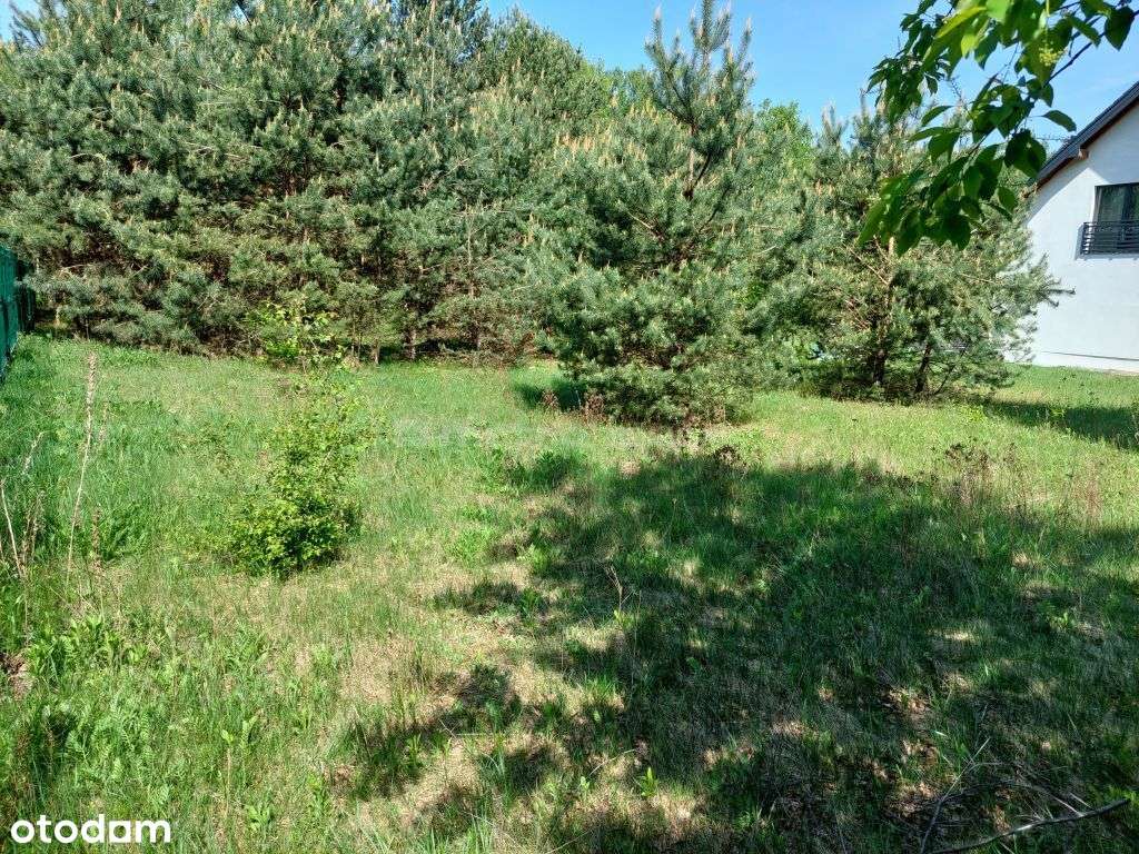 Działka z Wz - 1000m2 - Łódź Górna - Pełny obrazek: 4/4