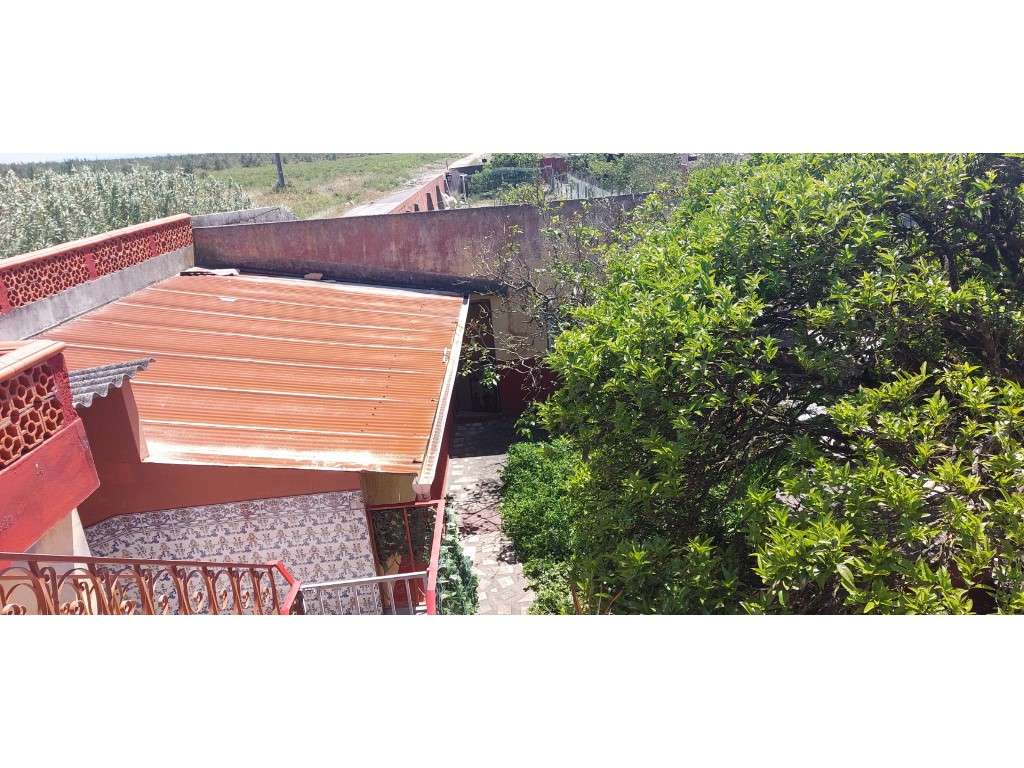 Moradia em Vieira de Leiria T4+2-23