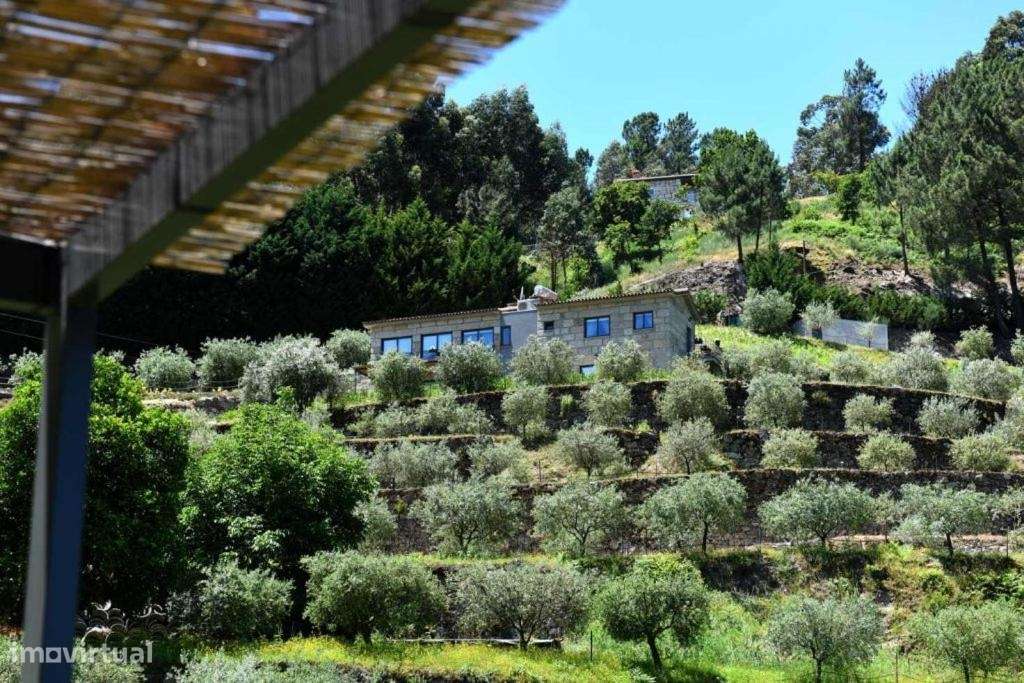 Quinta >=T10 Venda em Paredes de Viadores e Manhuncelos,Marco de Canav-44