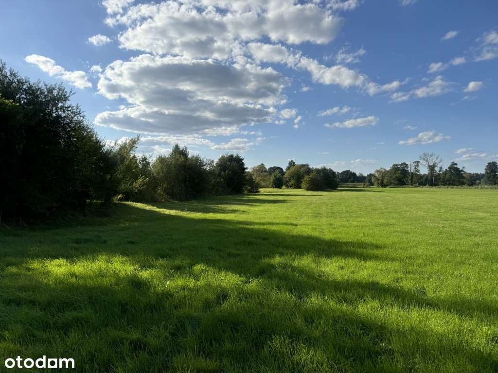 Działkę 20.000 m2 – idealna lokata kapitału - Pełny obrazek: 5/10