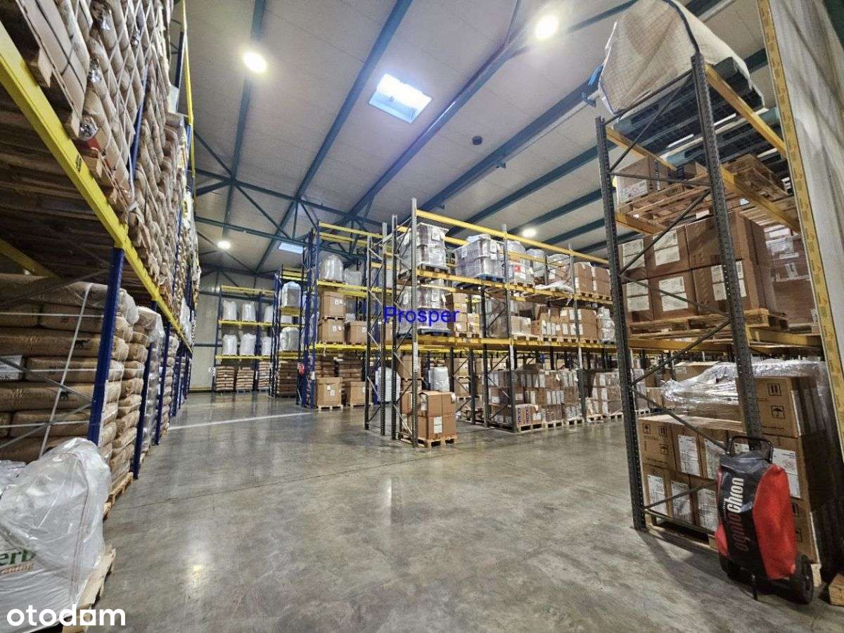 Magazyn z regałami , wys.7m dok brama 0 - Pełny obrazek: 4/4