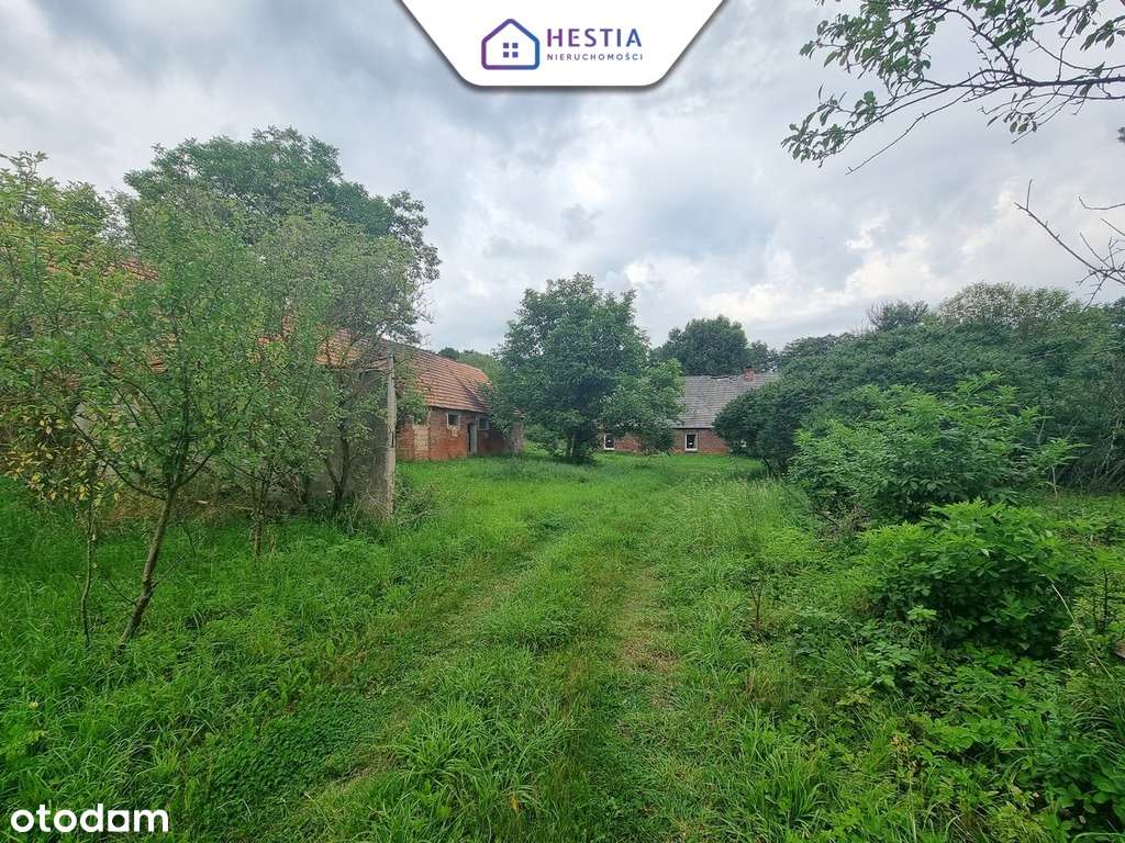 Dom z dostępem do jeziora!-1