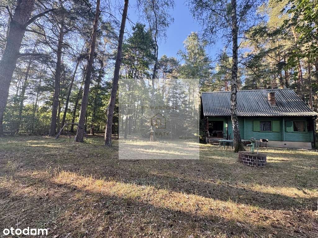 Piękna, zalesiona działka z domem - Pełny obrazek: 4/5