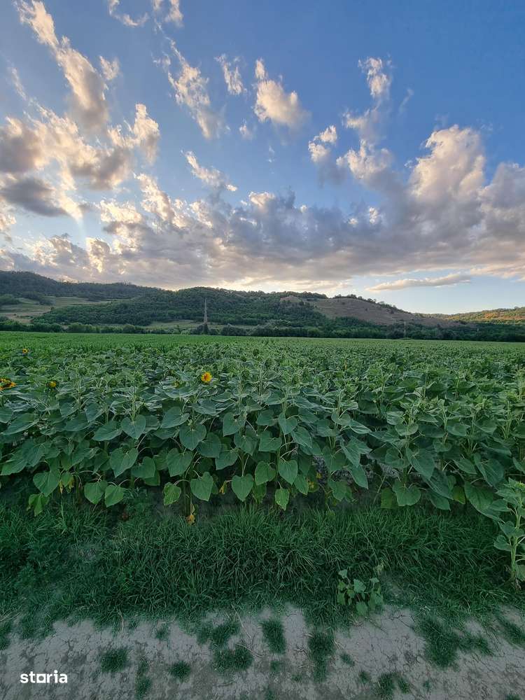 Teren pentru agricultură-3