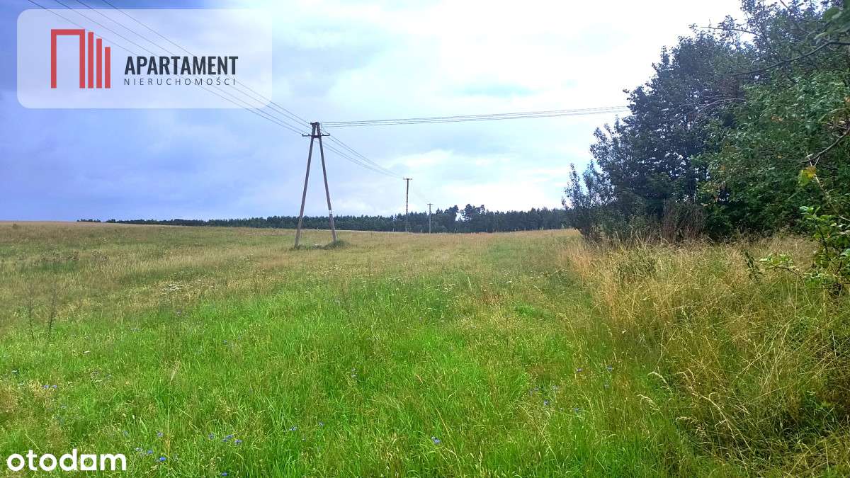 Tylko u nas ! Działka siedliskowa . - Pełny obrazek: 5/20