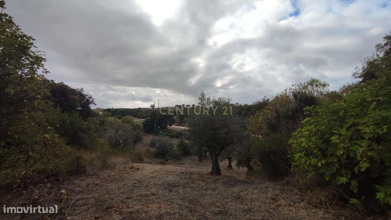 Casa de Campo em São Vicente do Paul, Santarém - Oportunidade Única-22