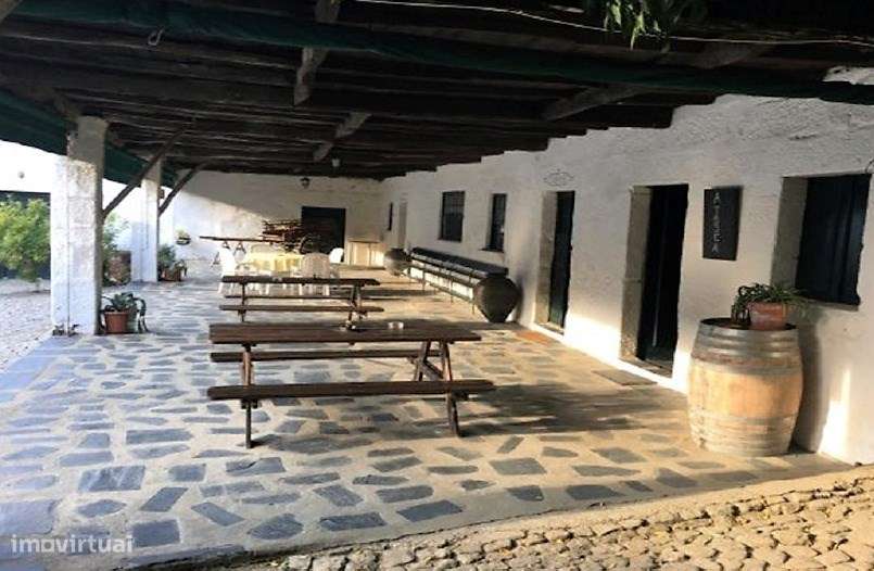 Douro Vinhateiro, Quinta Turística-8