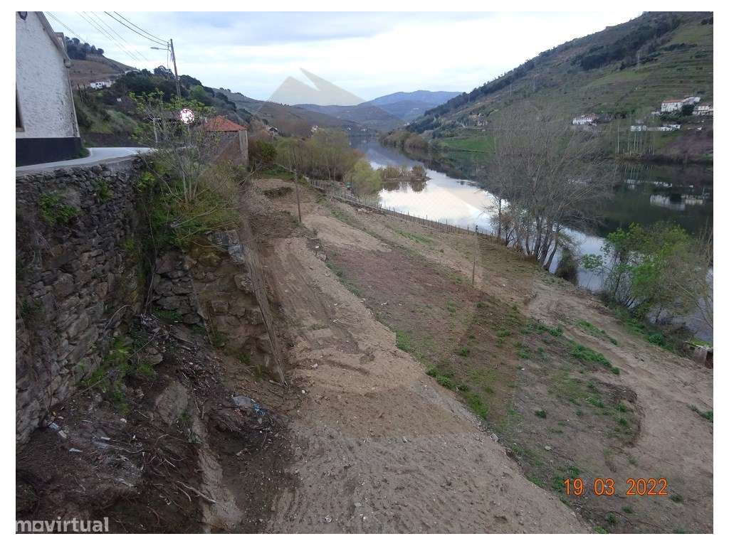 Quintinha - Mesão Frio - Grande imagem: 4/15