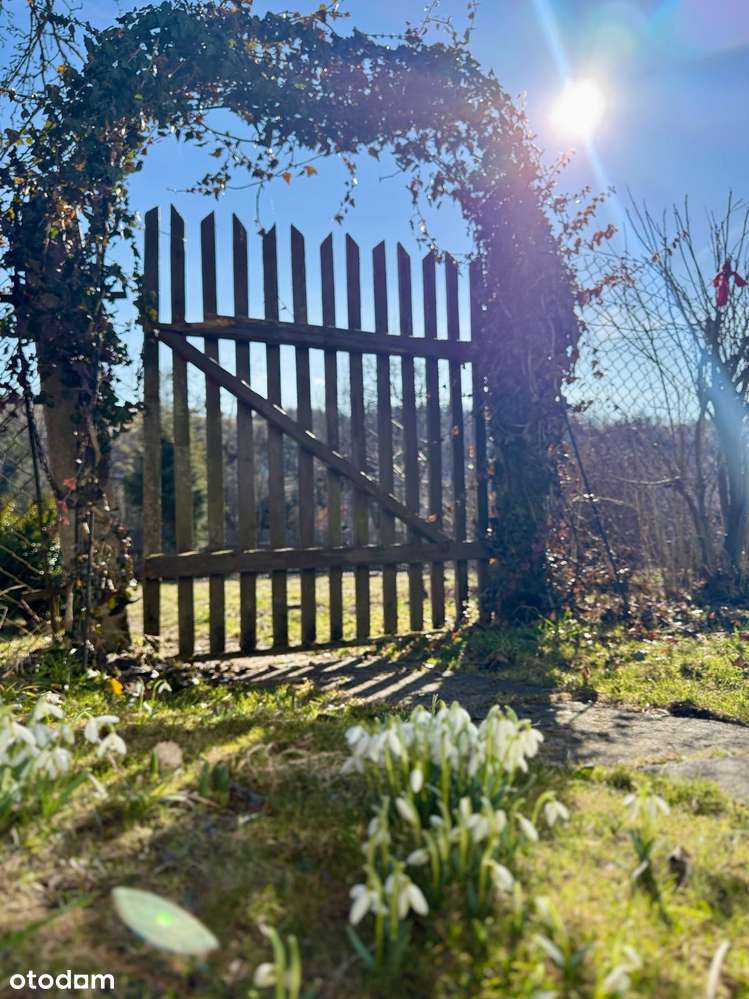 Klimatyczna chata z widokiem na Babią Górę, Jordanów-18