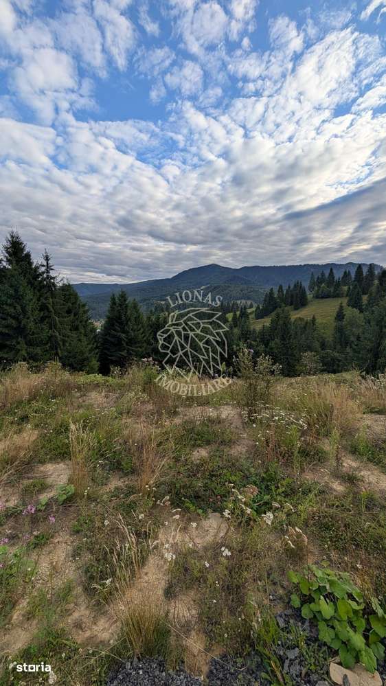 Parcele teren intravilan cu utilitati-panoramic-Colibita - Imagine principală: 4/4