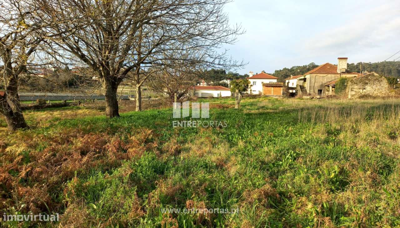 Venda de Terreno, Serreleis, Viana do Castelo - Grande imagem: 4/28