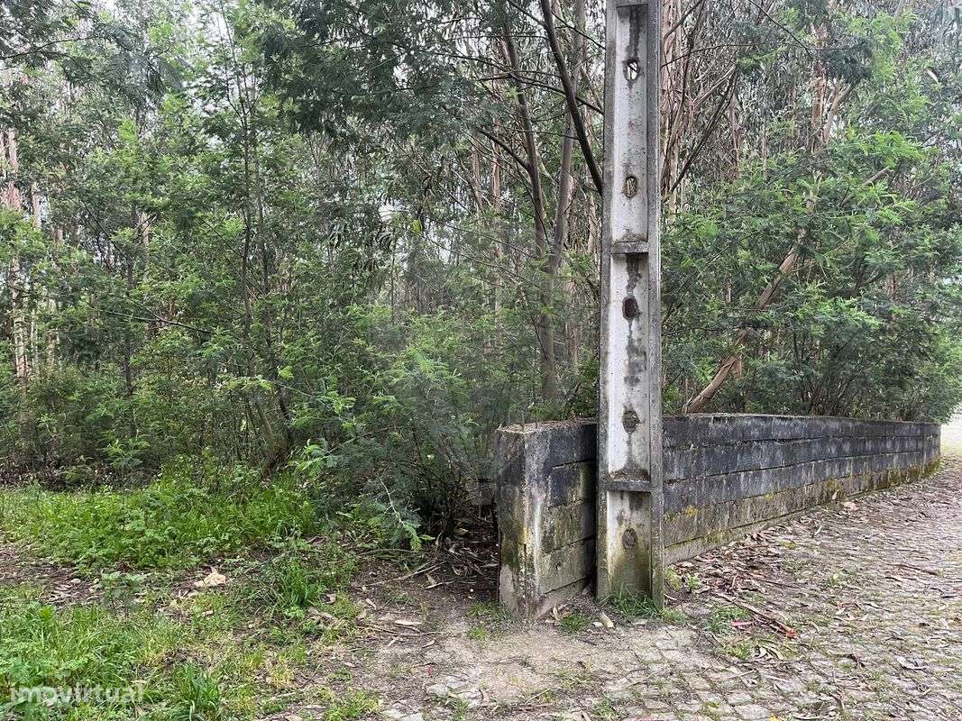 Terreno  para venda - Grande imagem: 3/7