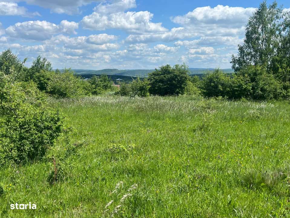 Teren 5.000 mp pe Calea Cisnadiei-3