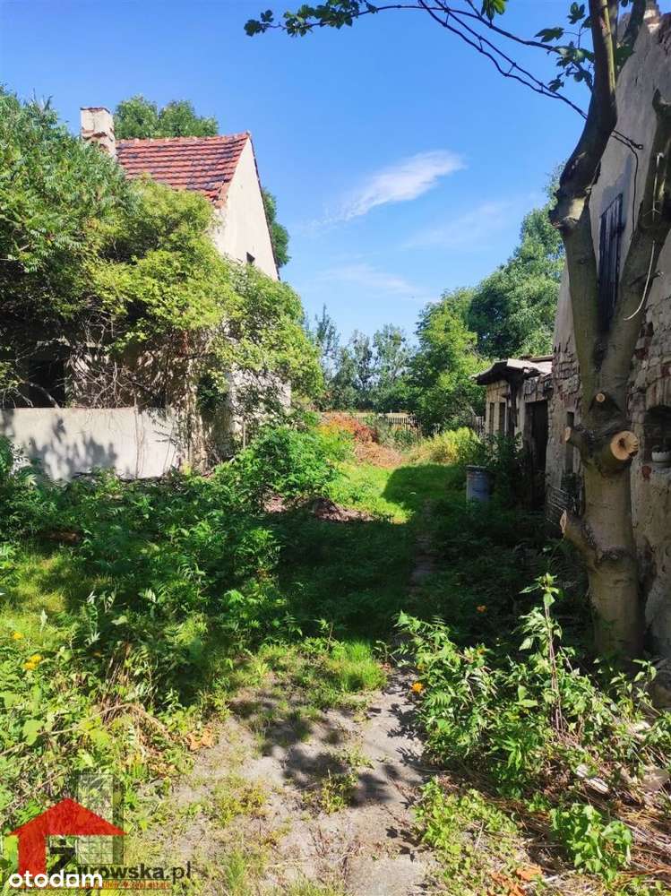 Dom, 100 m², Strzelce Opolskie - Pełny obrazek: 4/18