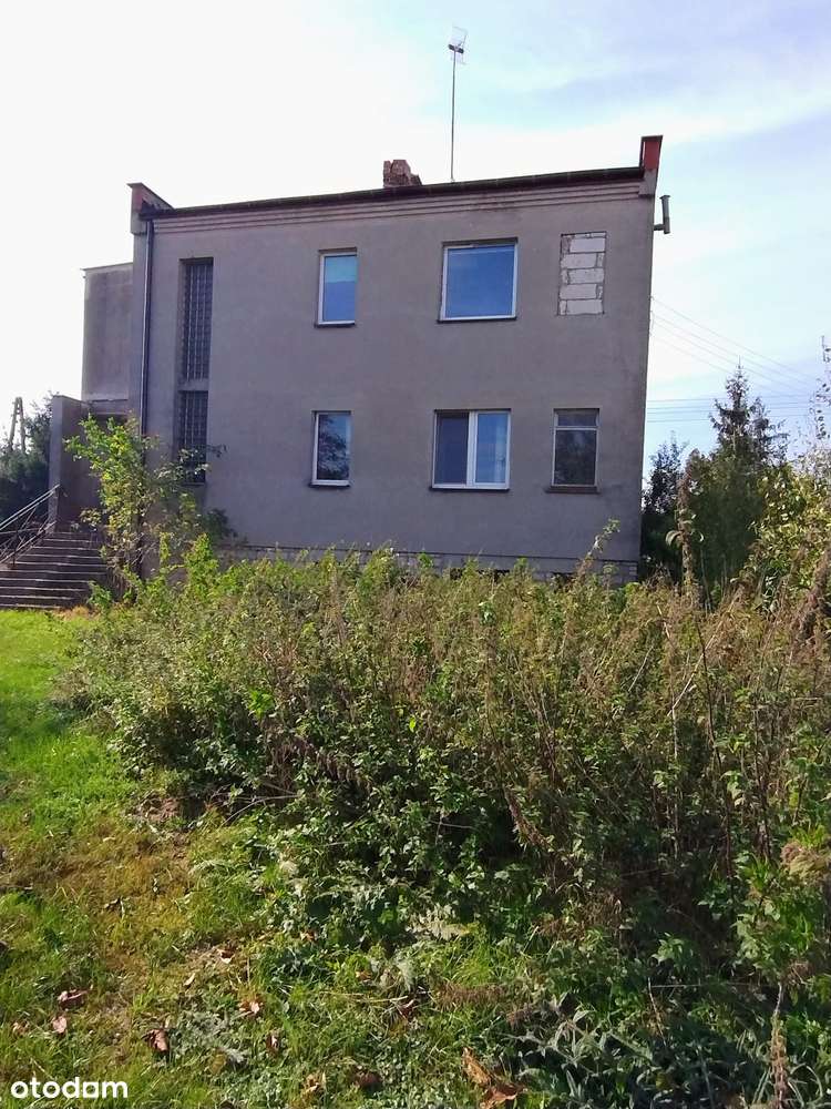 Dom wolnostojący/duża działka/blisko Mogilna-3