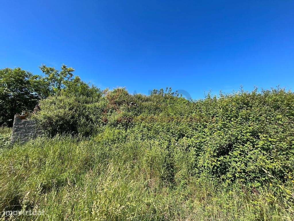 Terreno misto - Grande imagem: 5/7