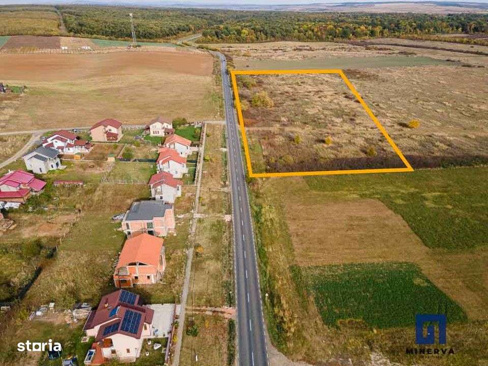 Teren ideal ca investitie, 19000 mp, in Pischia pe DJ691, comision 0-4