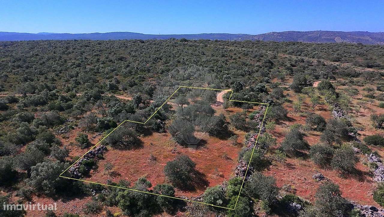 Terreno  para venda - Grande imagem: 2/10