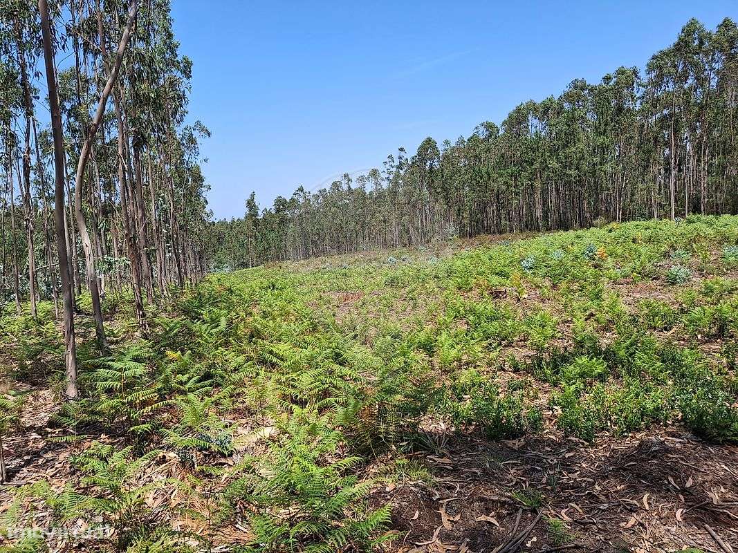 Terreno  para venda - Grande imagem: 4/4