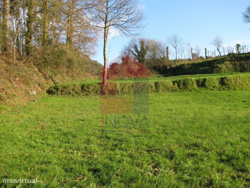 Terreno agrícola, Aboim da Nóbrega - Grande imagem: 2/17