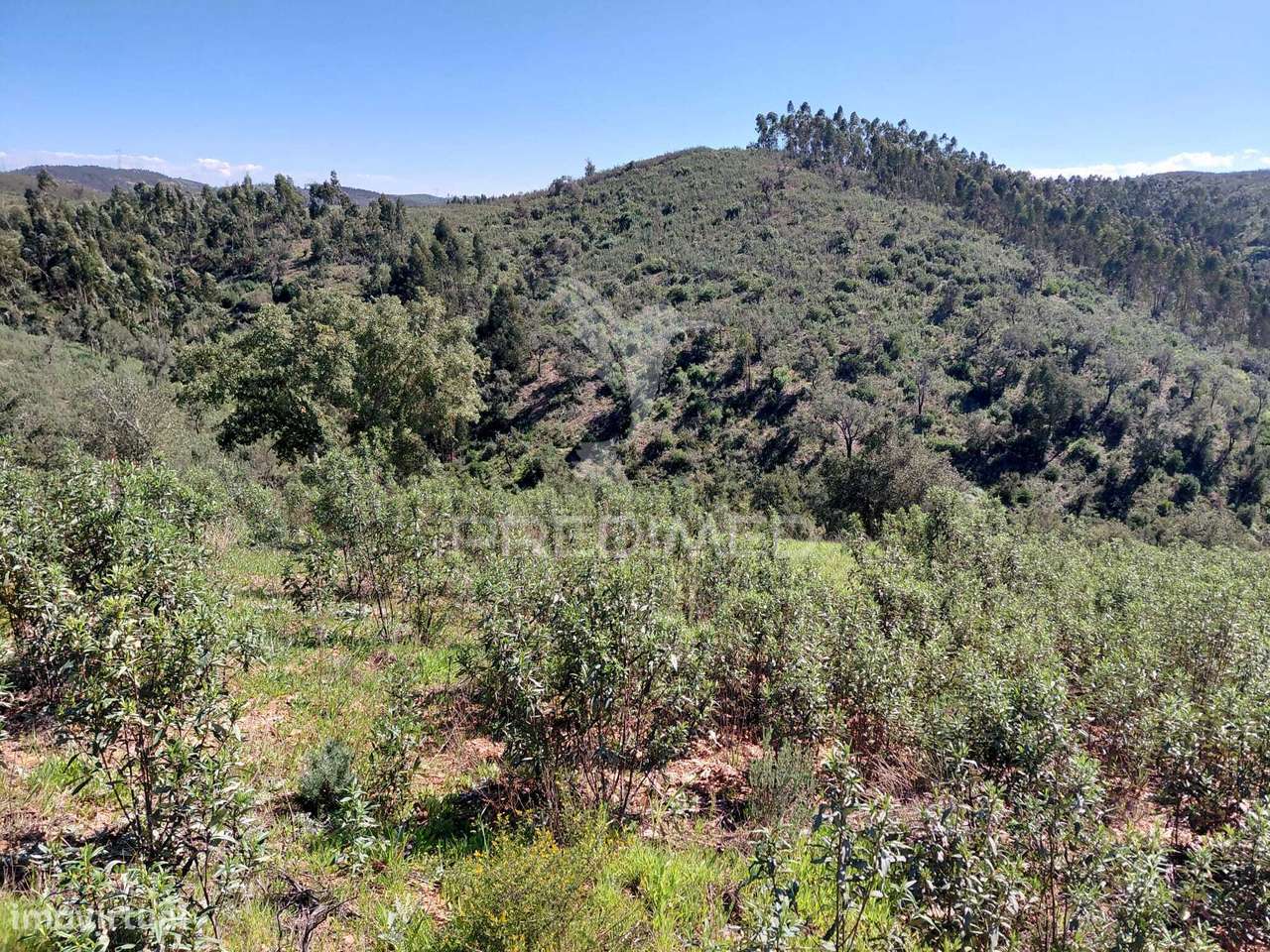Terreno Rústico ,Sabóia,Odemira. - Grande imagem: 5/7