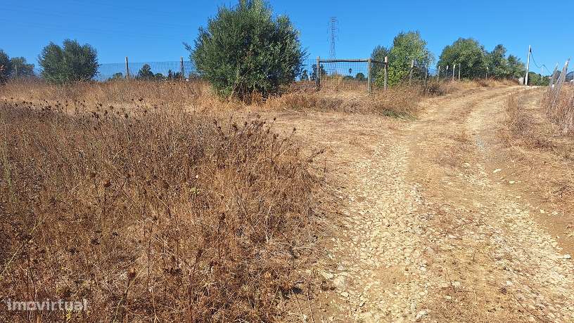 Terreno, 4 040 m², Pontével - Grande imagem: 5/5