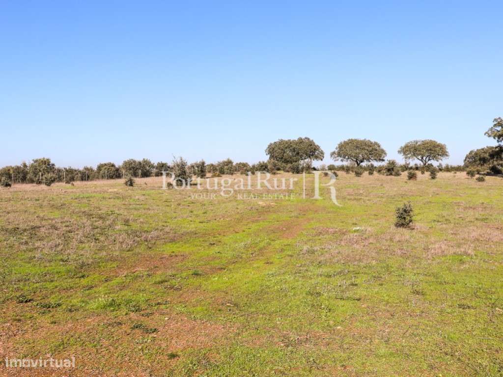 Quinta com cerca 7,5 Hectares localizada próxima de Cabeça de Carne... - Grande imagem: 5/10