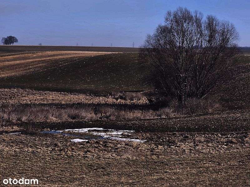 Działka rolna z ogromnym potencjałem - Stara Biała k. Płocka-2