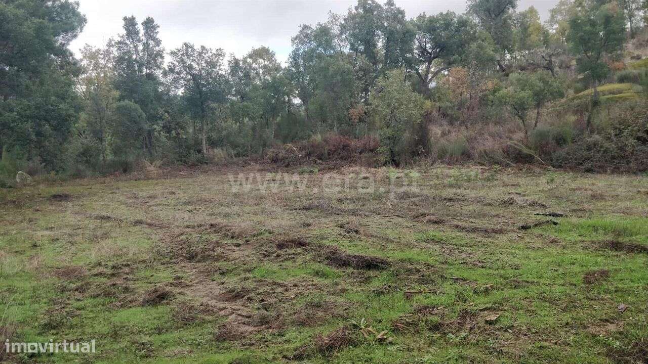 Terreno Rústico / Fundão, Póvoa da Atalaia - Grande imagem: 2/20