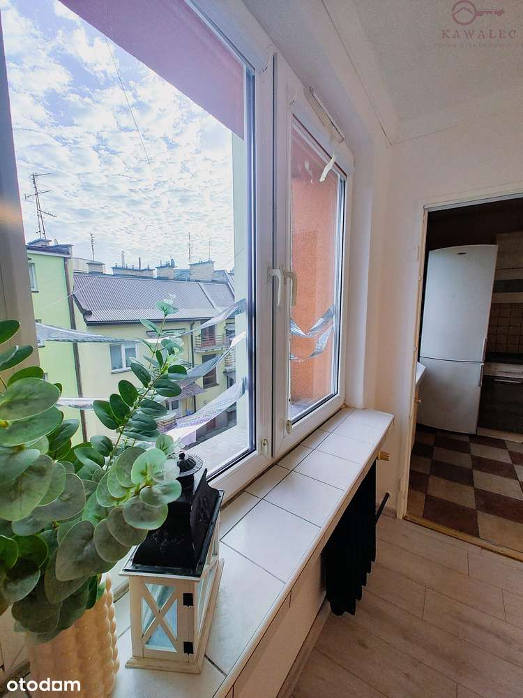 Komfortowe i przestronne mieszkanie w ścisłym centrum miasta - Pełny obrazek: 5/14