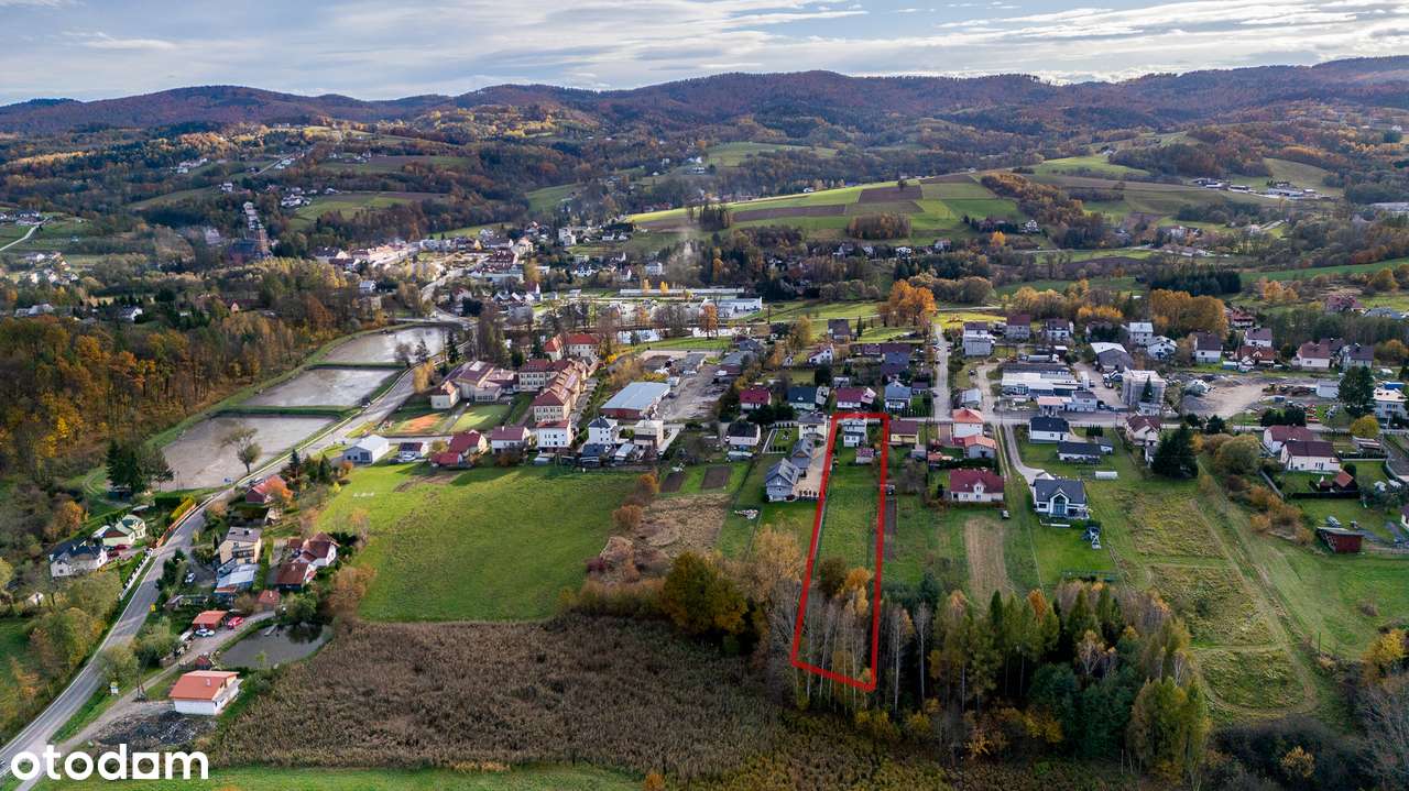 Duża działka 28ar | Ogrzewanie gazowe | Nowe okna | Od właściciela - Pełny obrazek: 5/20