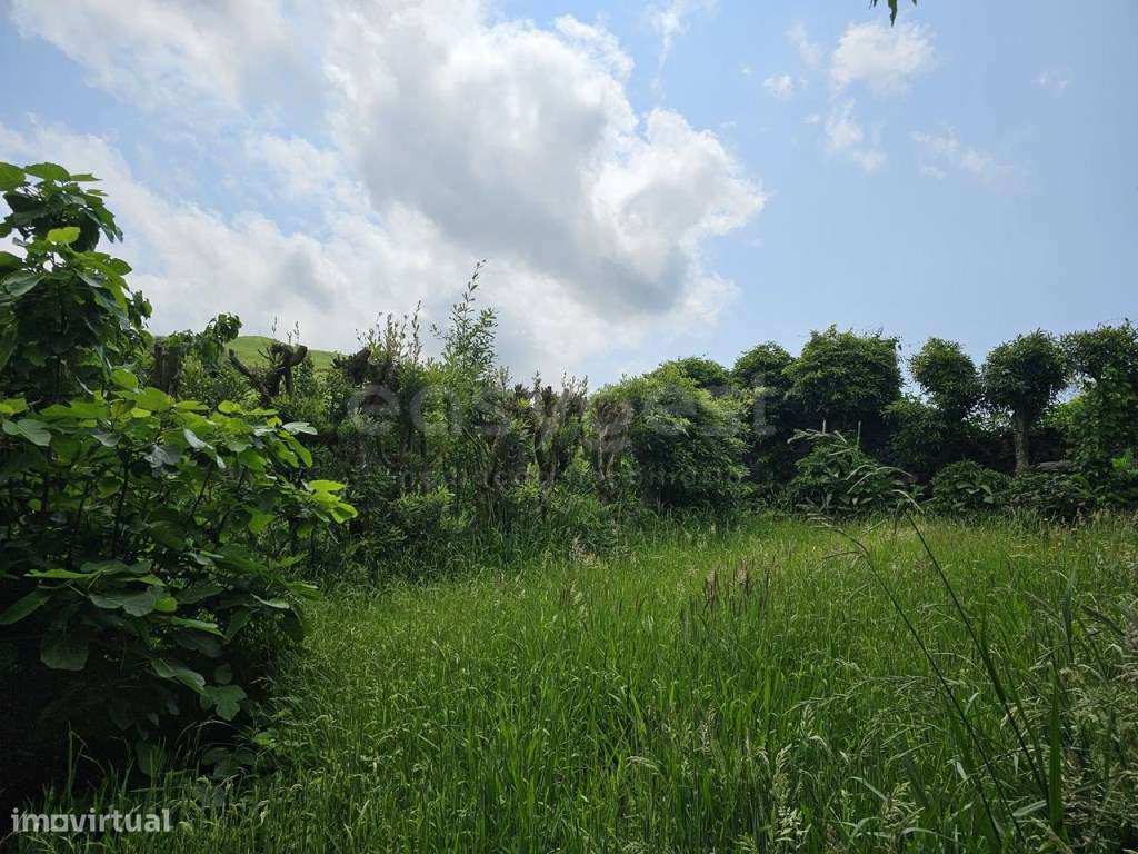Terreno Urbanizável na Zona da Boavista - Estrada da Ribeira Grande... - Grande imagem: 2/27