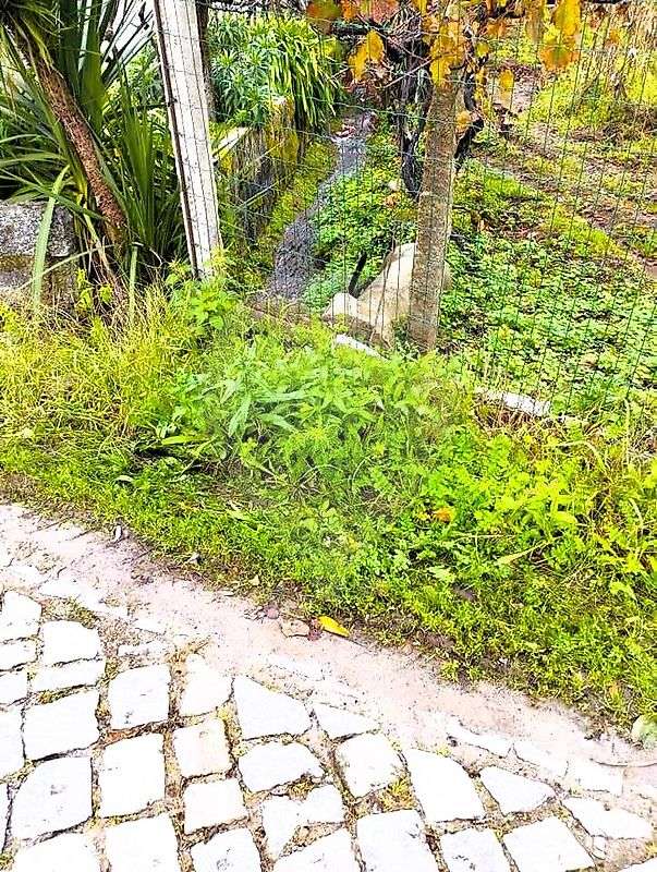 Terreno  para venda - Grande imagem: 5/5