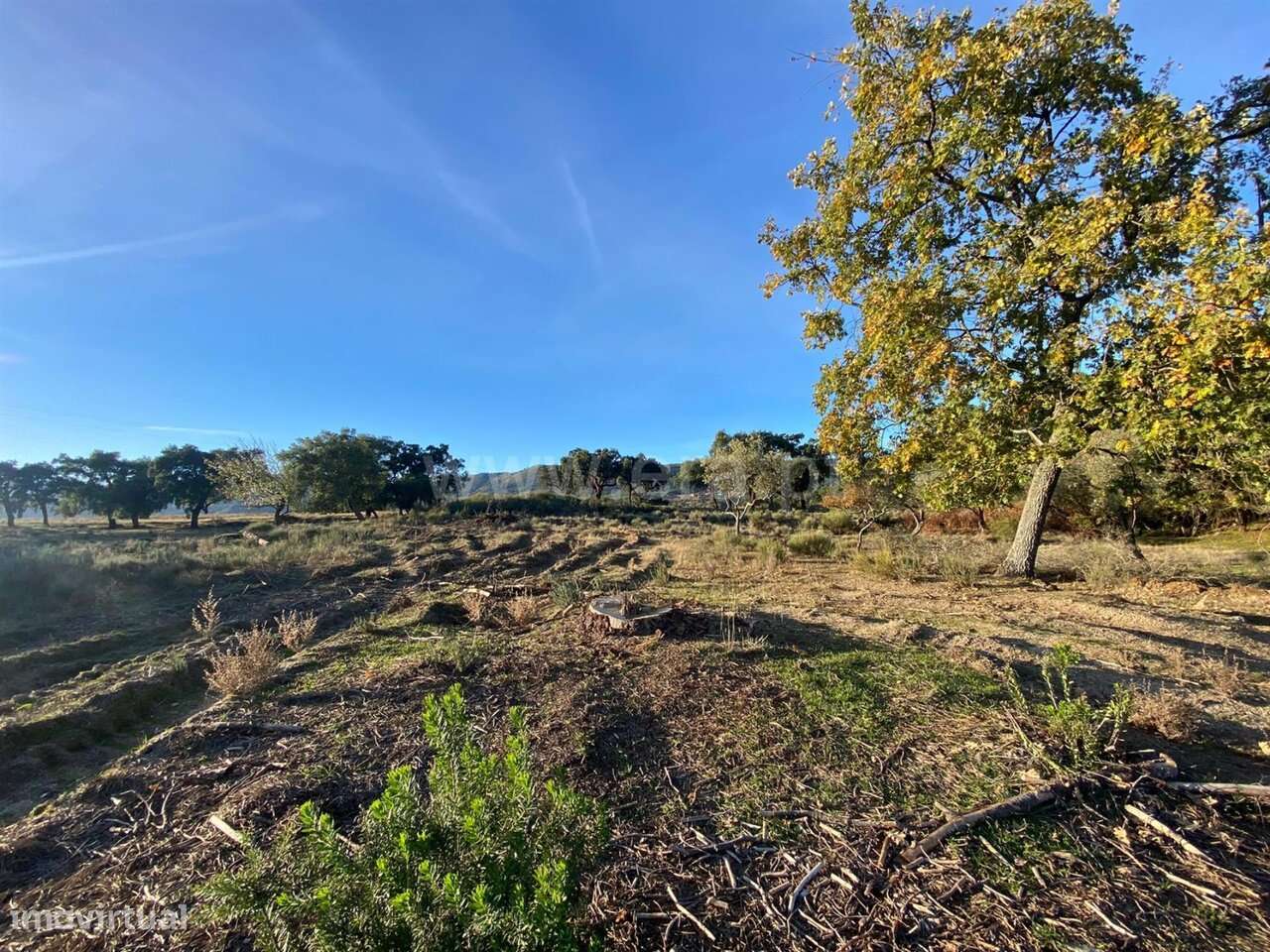 Quintinha T1 / Fundão, Vale de Prazeres e Mata da Rainha - Grande imagem: 3/12