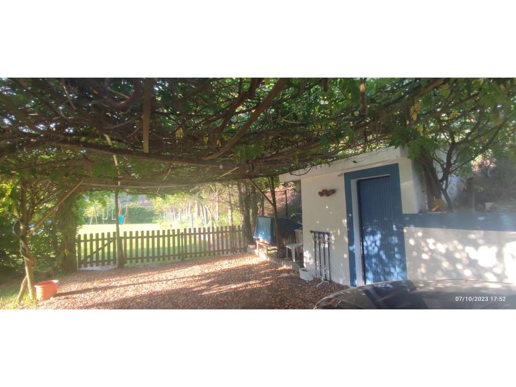 Quinta com duas moradias, anexos, diversas arvores de fruto, vinha ...-57