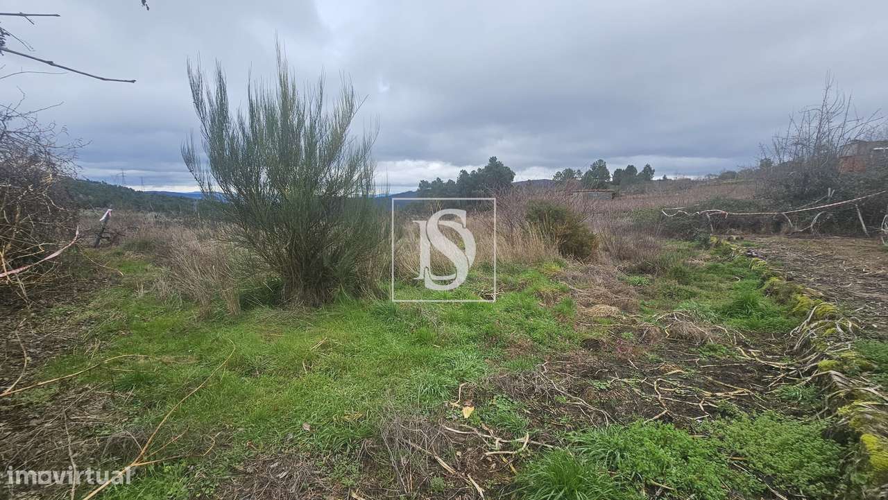 Terrenos Rústicos – Aricera e Goujoim, Armamar (Viseu)-9