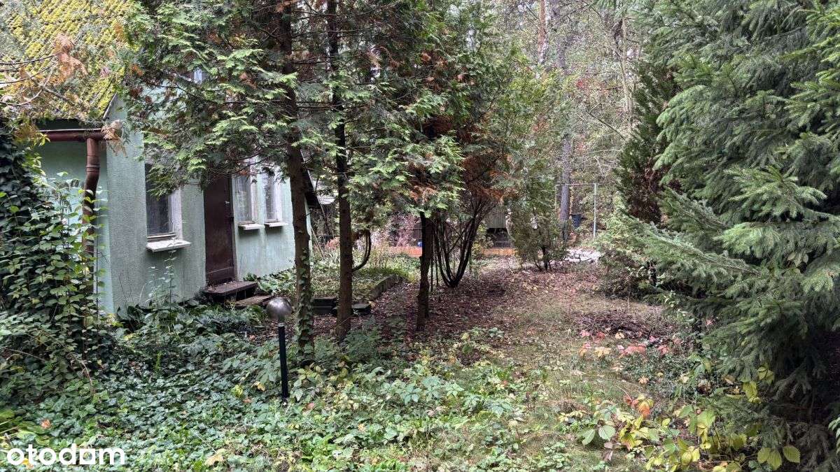 Dziełka z dużym potencjałem Dąbrowa Chotomowska-4