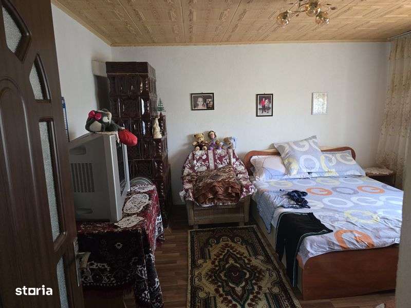 2 case in curte Dabuleni Dolj - Imagine principală: 5/8