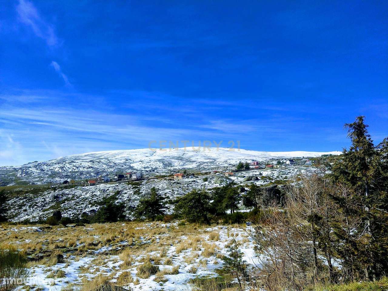 Quinta para Vinhas ou Pomar - Grande imagem: 4/5