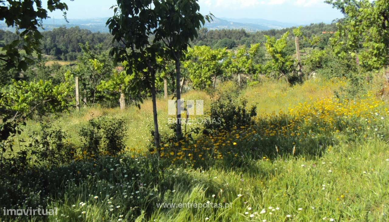 Venda Terreno, Rosém, Marco de Canaveses - Grande imagem: 3/8
