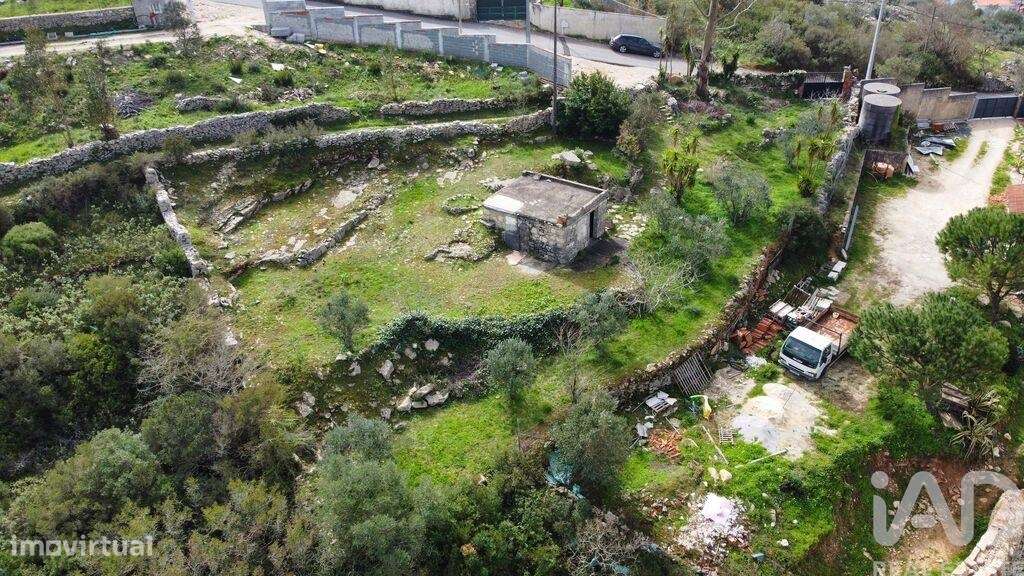 Casa de Campo em Reguengo do Fetal - Grande imagem: 4/22