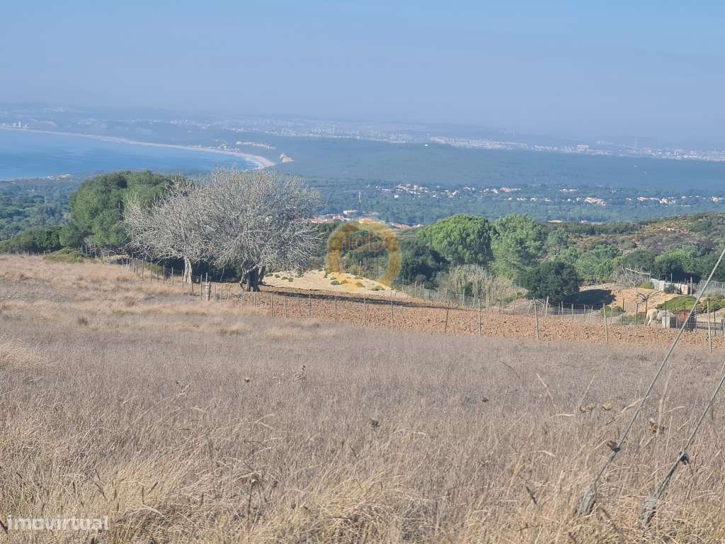 Terreno com 14000 m2 com vista espetacular para o Mar. - Grande imagem: 3/6