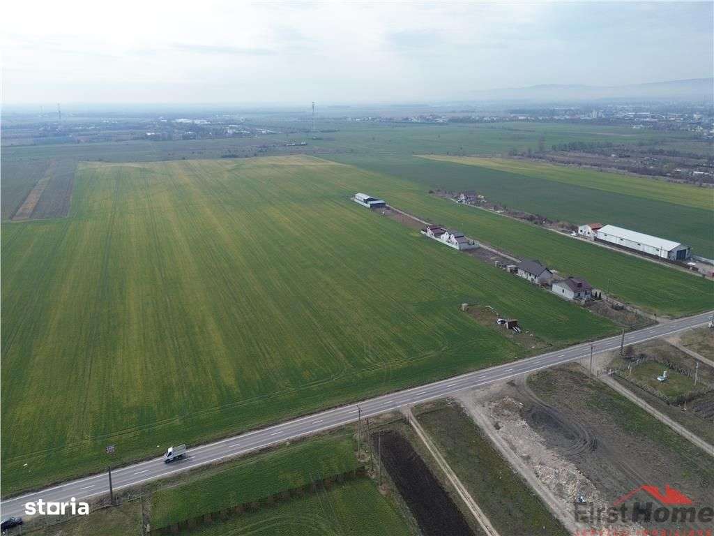 Teren intravilan 7.500 mp, D=23 ml, STRADA PRINCIPALA,zona ONASIS - Imagine principală: 4/12