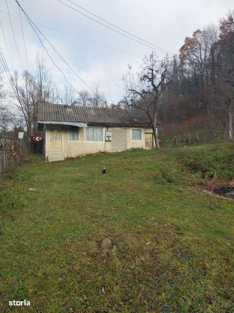 Teren de vanzare 2200 mp, Raul Alb ,DB - Imagine principală: 2/7