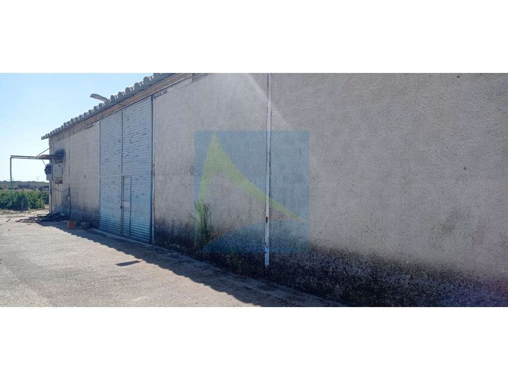 Propriedade Vitivinícola | 130.000 m² | Syrah & Moscatel-1