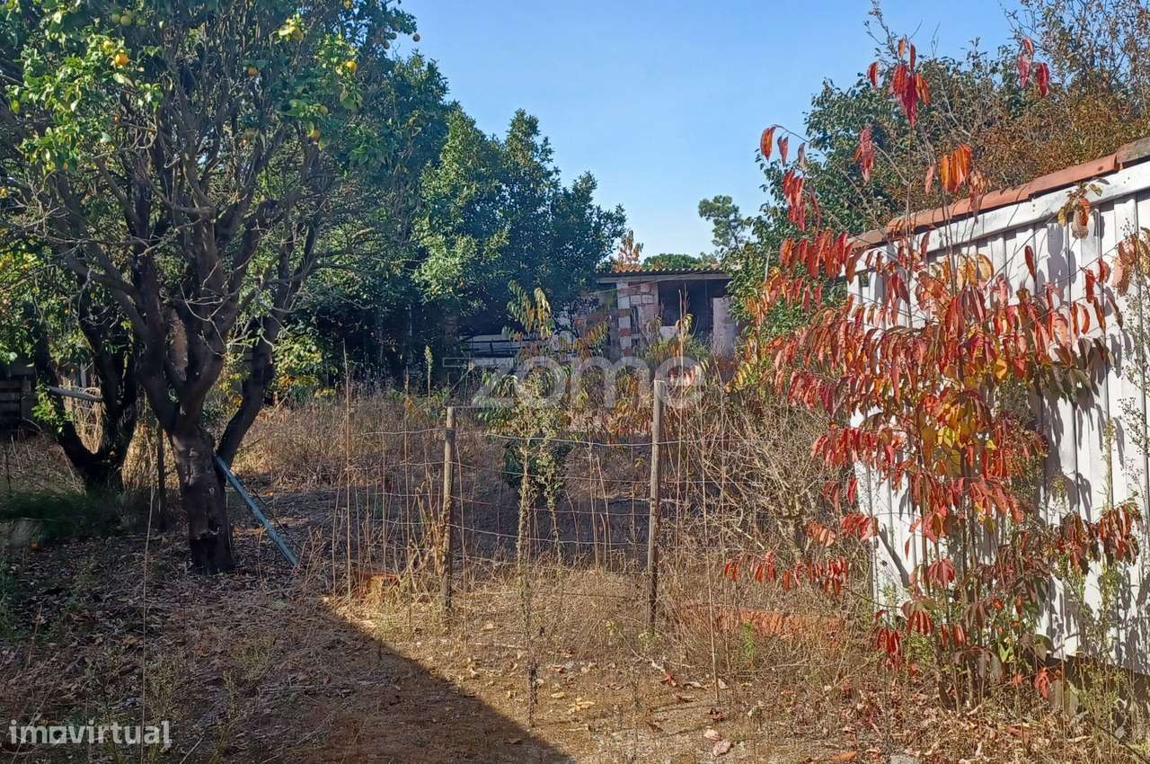 Moradia excepcional em Ordem, Marinha Grande-14