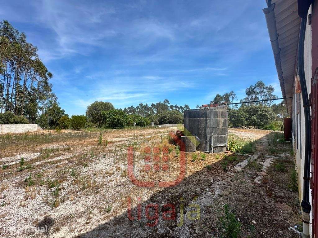 Armazém Industrial/Agropecuário com 9.700 m² de Terreno | Entre Our...-25