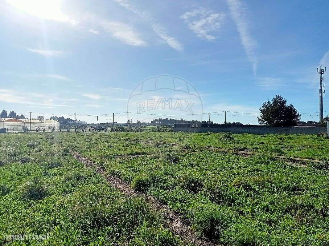 Terreno  para arrendamento - Grande imagem: 5/13