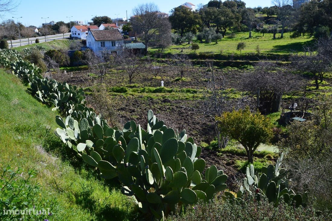 Quinta 10 hct urbanizavel em Castelo Branco