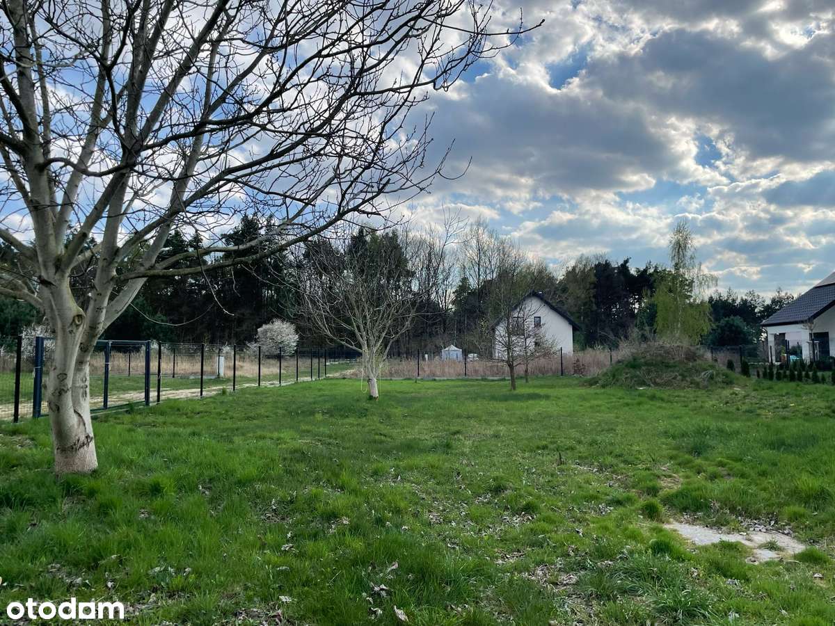 Działka budowlana Maksymilianowo - blisko lasu! - Pełny obrazek: 5/11